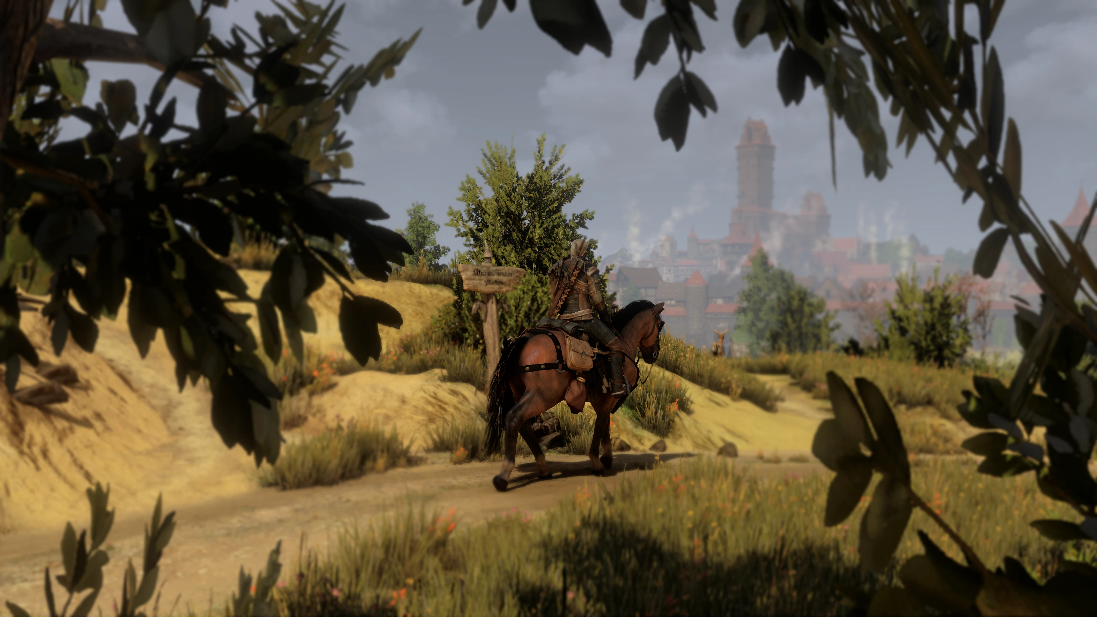 Witcher 3.webp