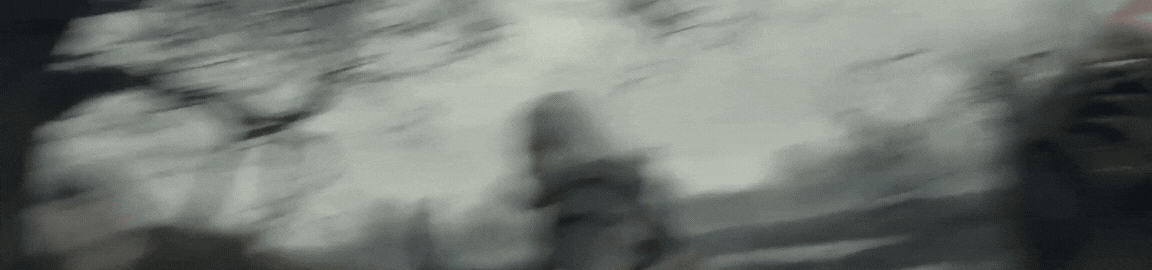 xp.gif