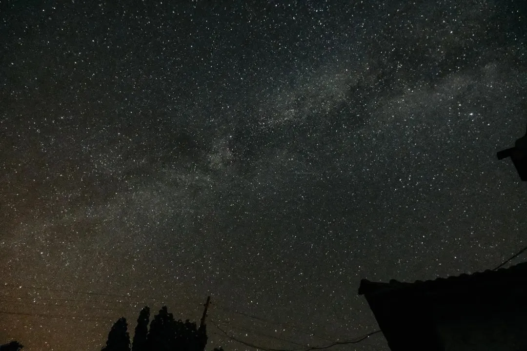 xt3020212.webp