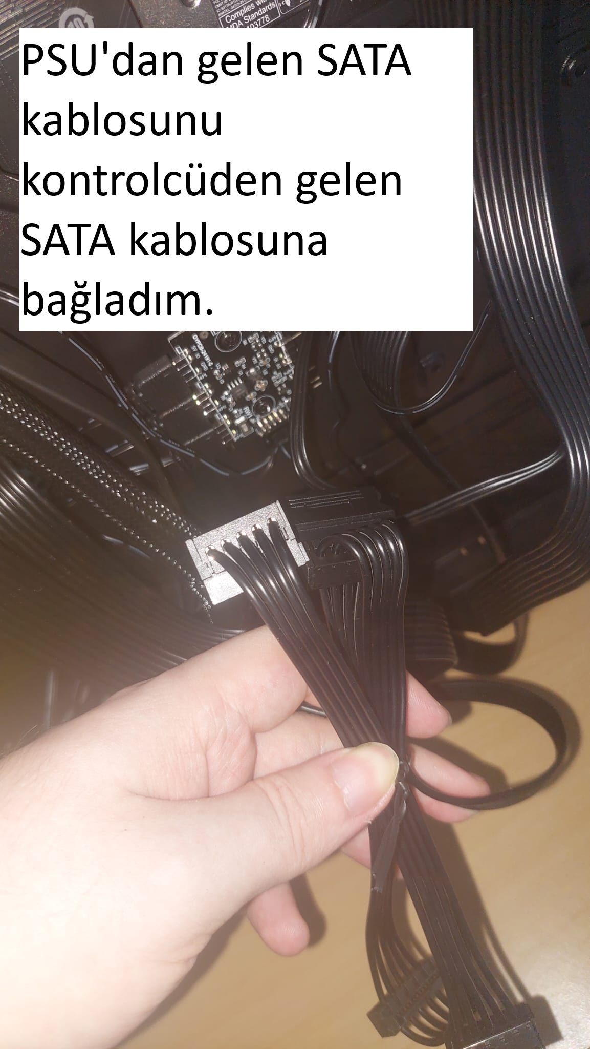 xxxx.webp