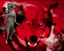 yaşasınırkımız-çinebedelkırkımız.gif