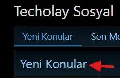 yenikonular.webp