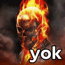 yok-rider.gif