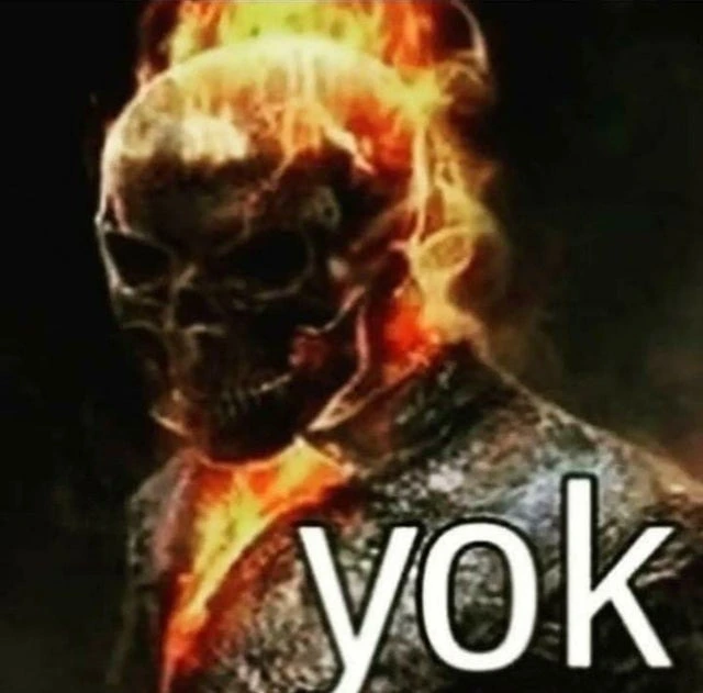 YOK.webp