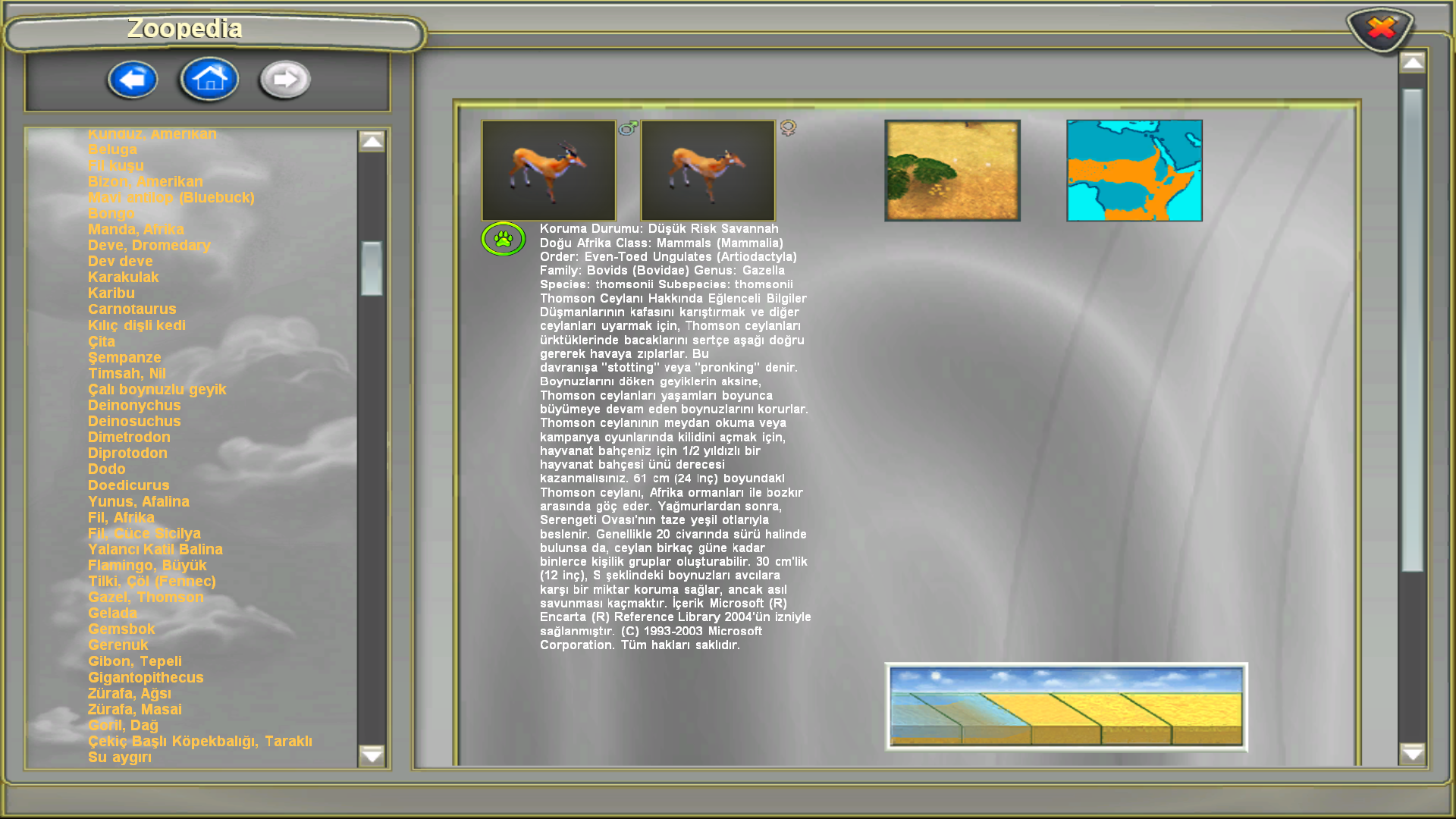 Zoo Tycoon 2 Screenshot 2026.06.15 - 18.58.32.20.webp