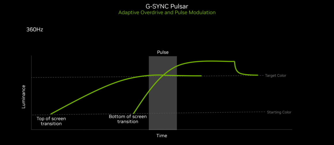 G-SYNC Pulsar Grafik