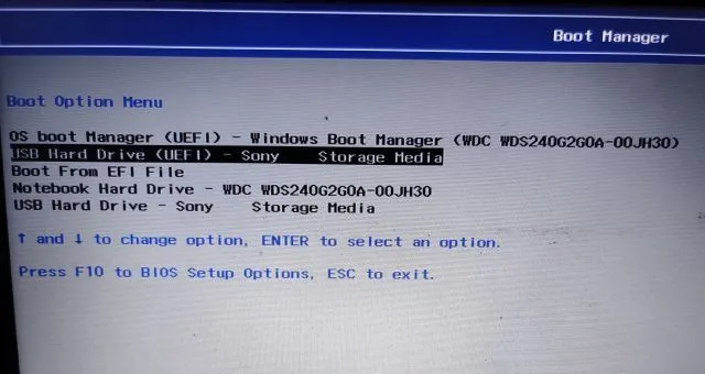 Rectify11-1.webp