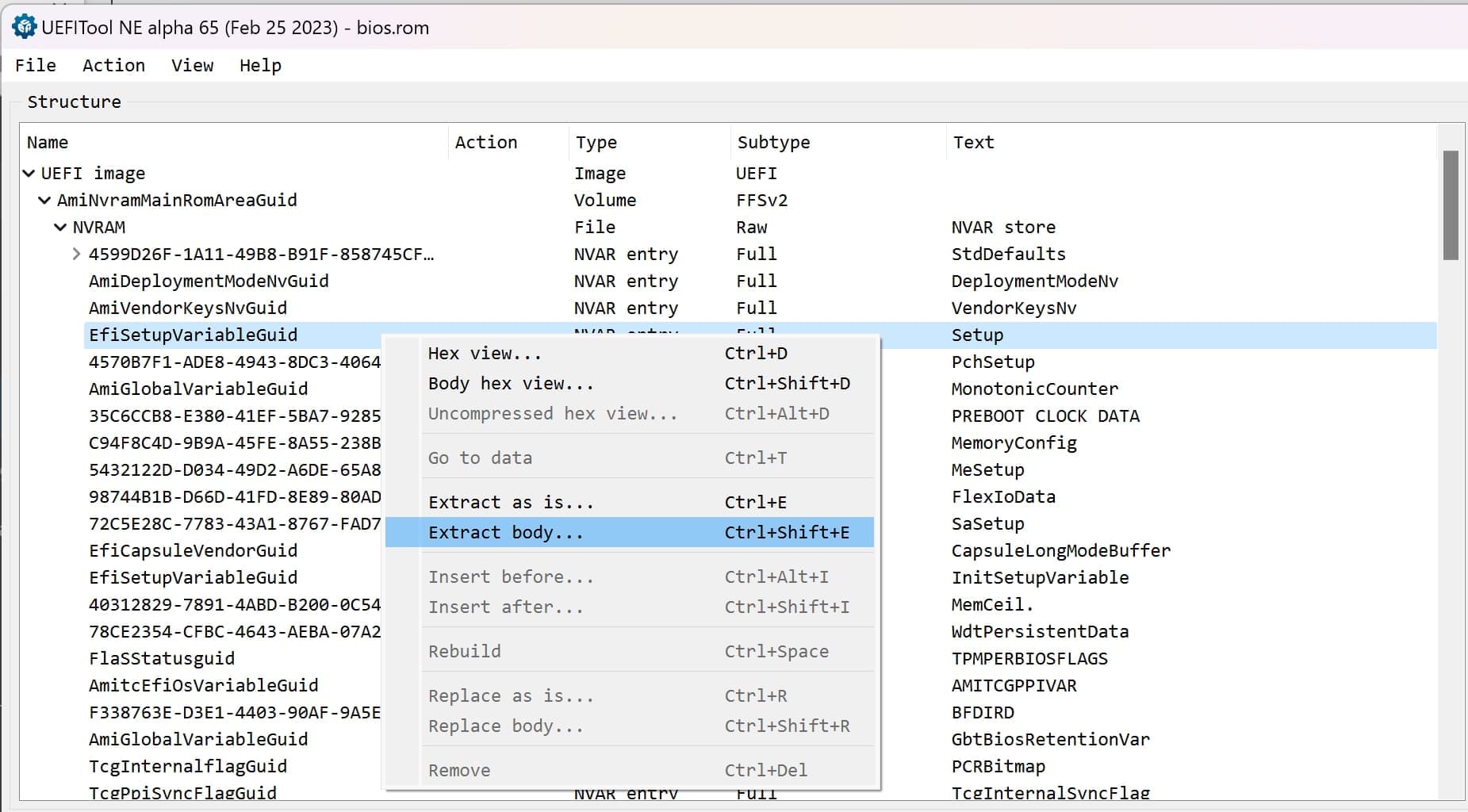 UEFI Tool'da Degiskeni Disa Aktarma