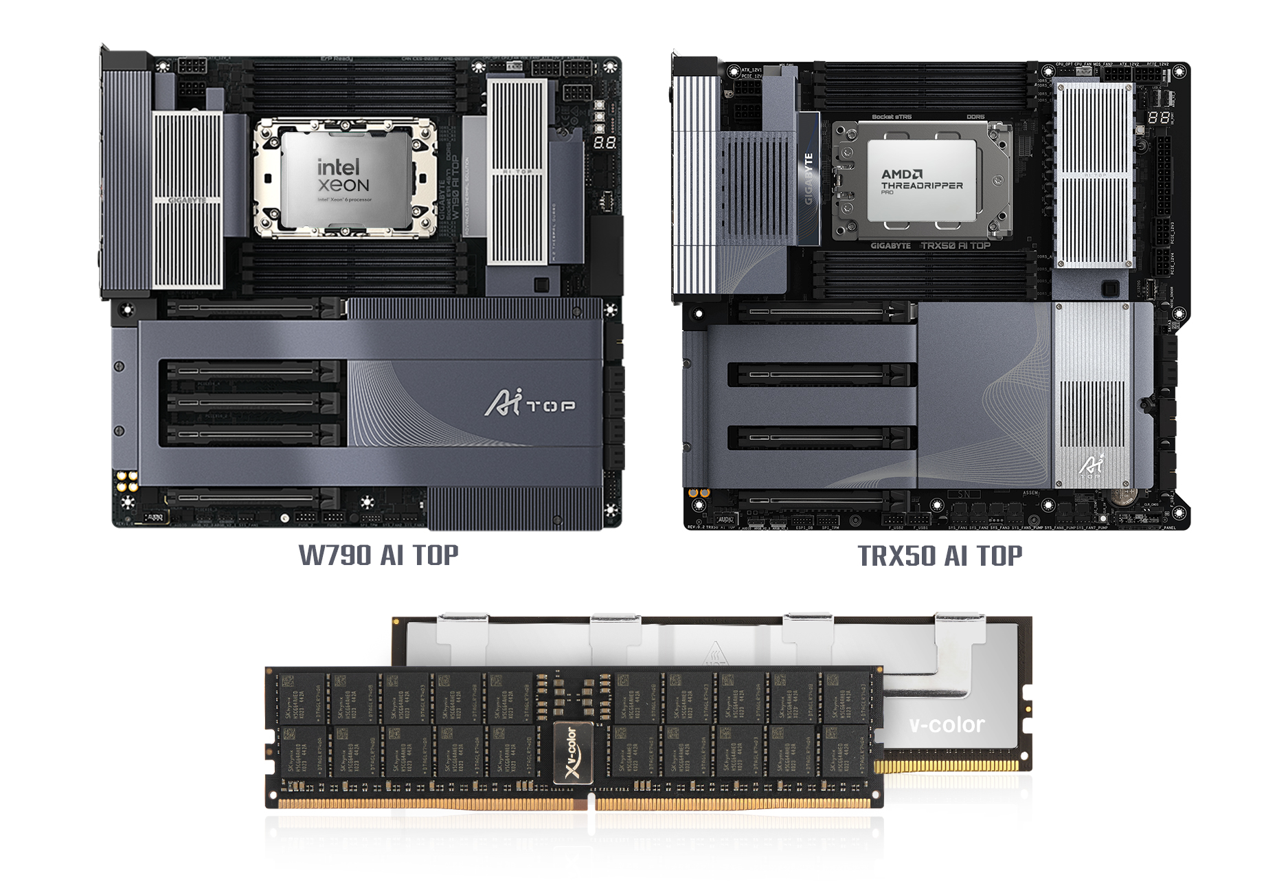 V-Color RDIMM W790 AI TOP TRX50 AI TOP
