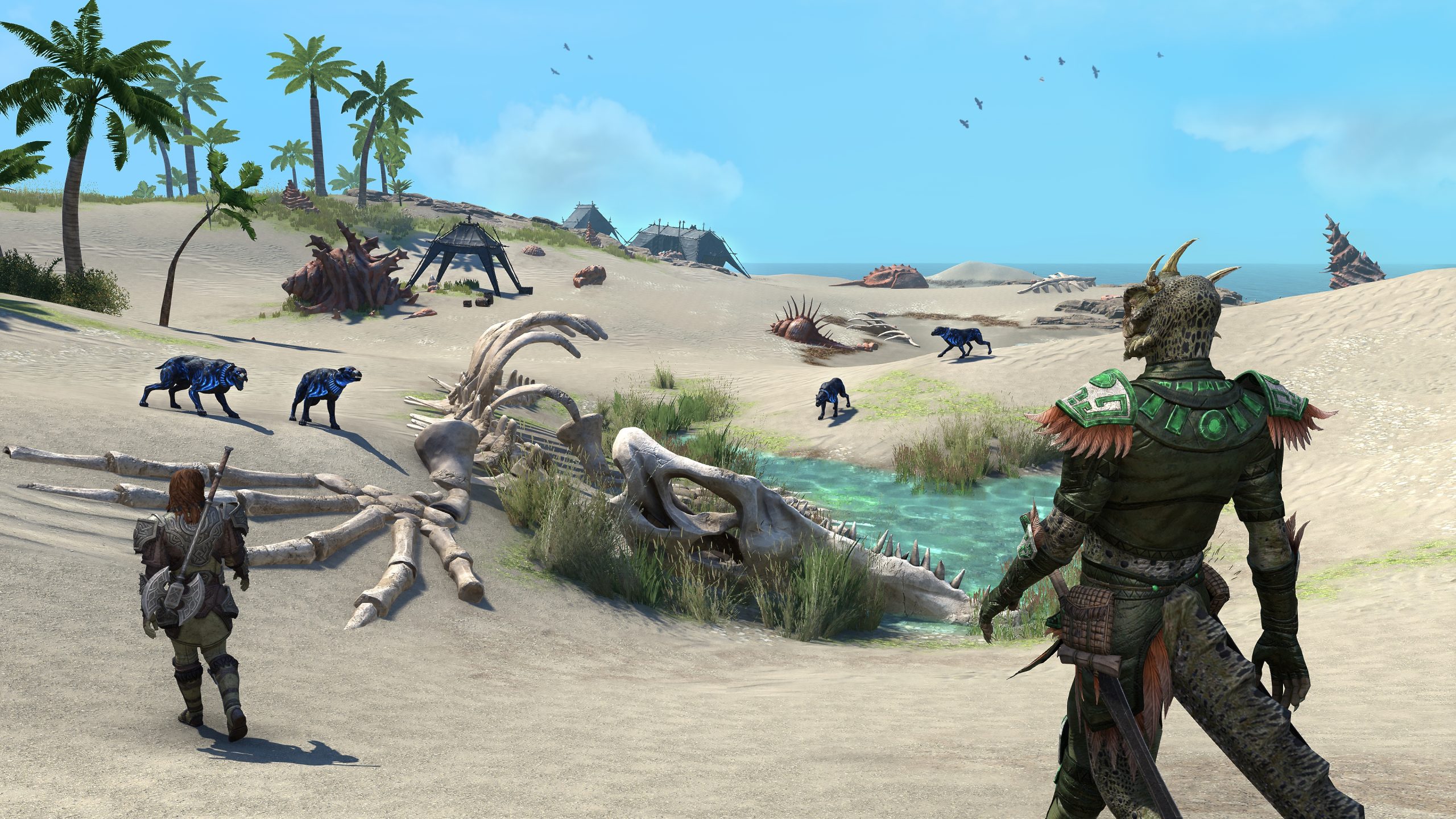 Resim Altyazısı: 'Kişisel olarak, Argonian ve Yüksek Elf mimarisinin bu ilginç karışımını seviyorum. Zonu ikiye ayıran o duvarı çok beğeniyorum. Ayrıca alt sınıfları da çok seviyorum; yeni yapıların ortaya çıkmasını sağlıyor.' - Rich Lambert
