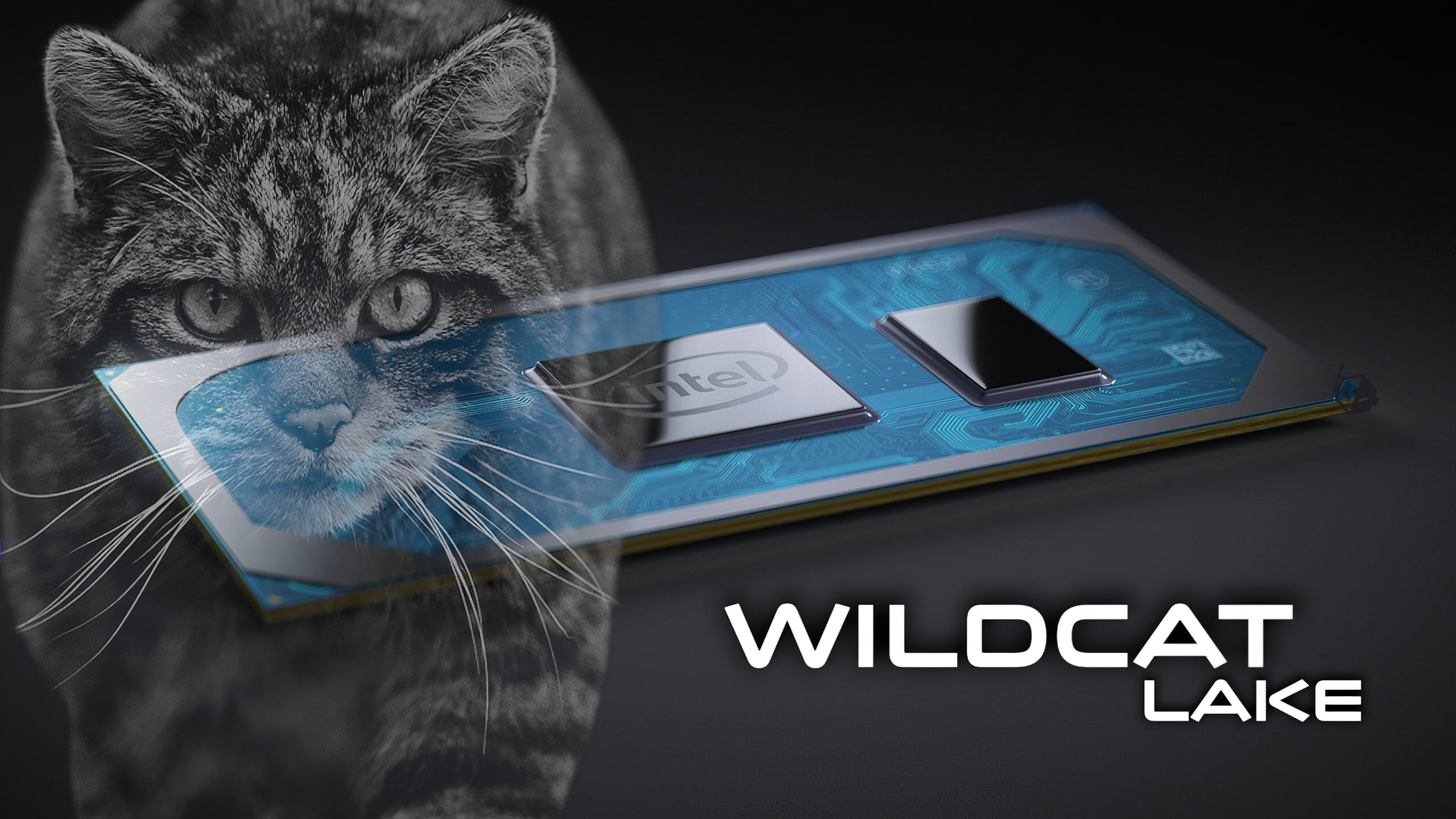 Intel-Wildcat-Lake-Ray-Tracing-Desteksiz-Giris-Seviyesi-Islemciler.jpg