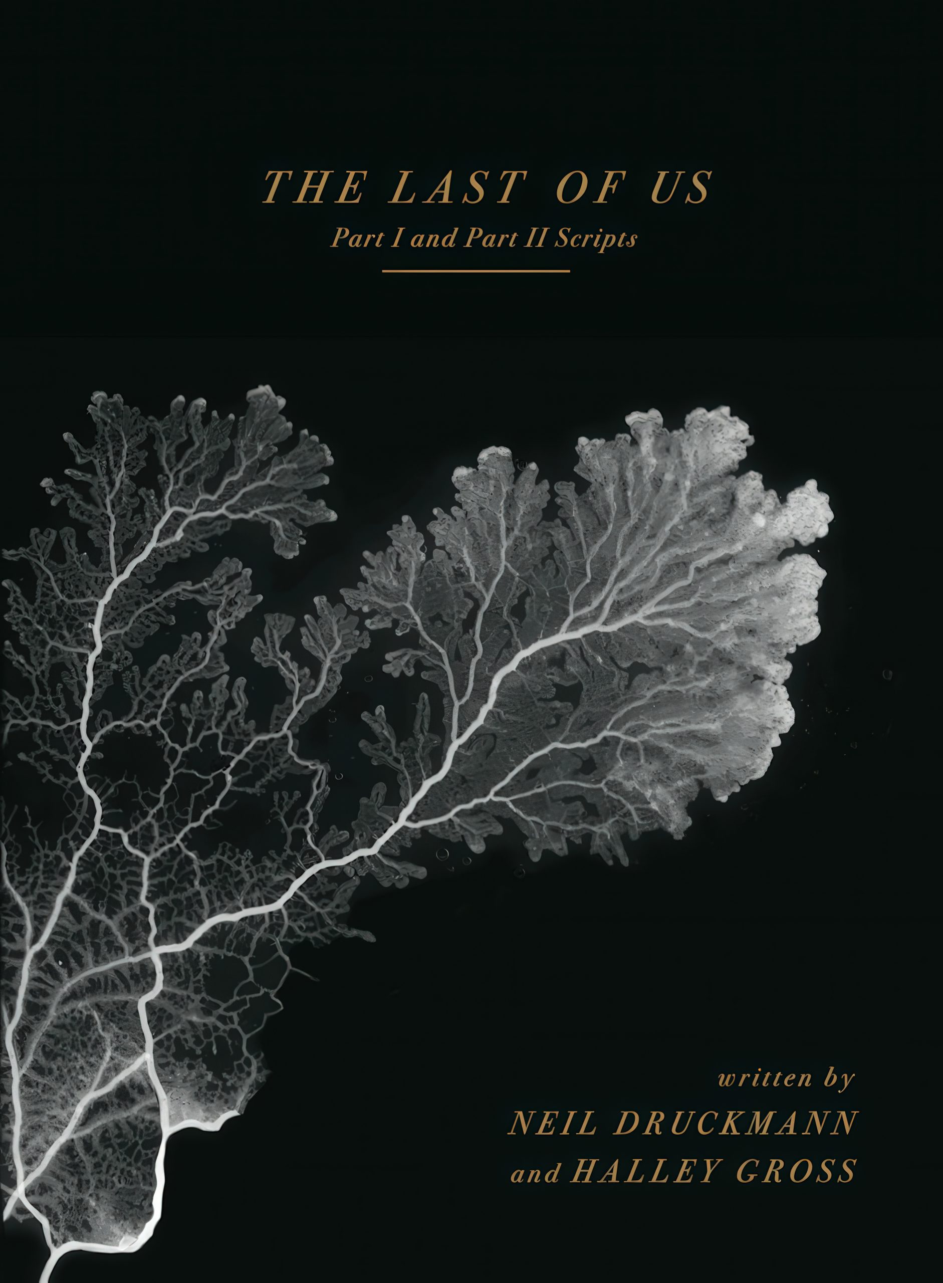 The-Last-of-Us-Hikayesi-Kitap-Oluyor.jpeg