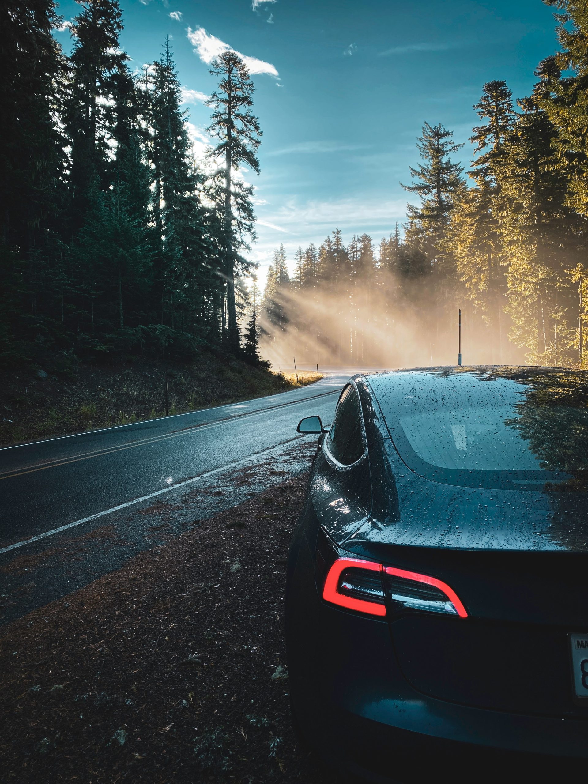 Teslaya-Kaliforniyada-Toplu-Dava-Cindeki-Model-Y-L-ve-Japonyadaki.jpg