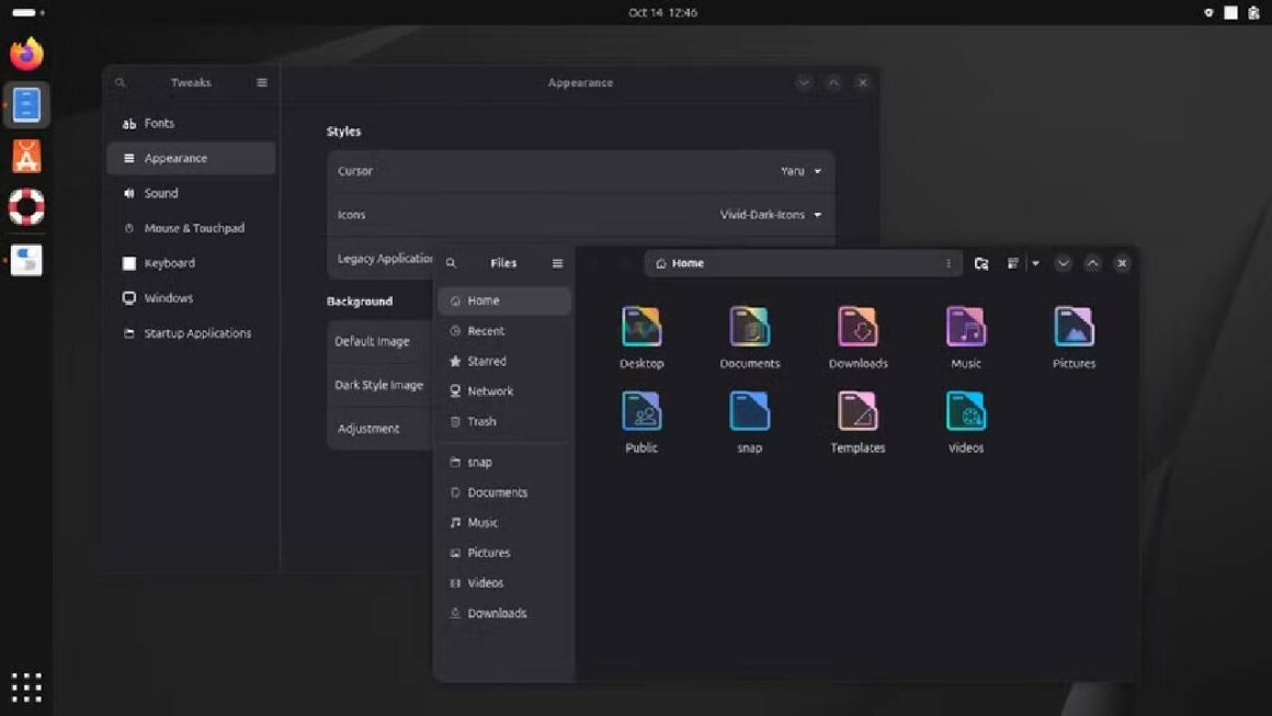GNOME 6