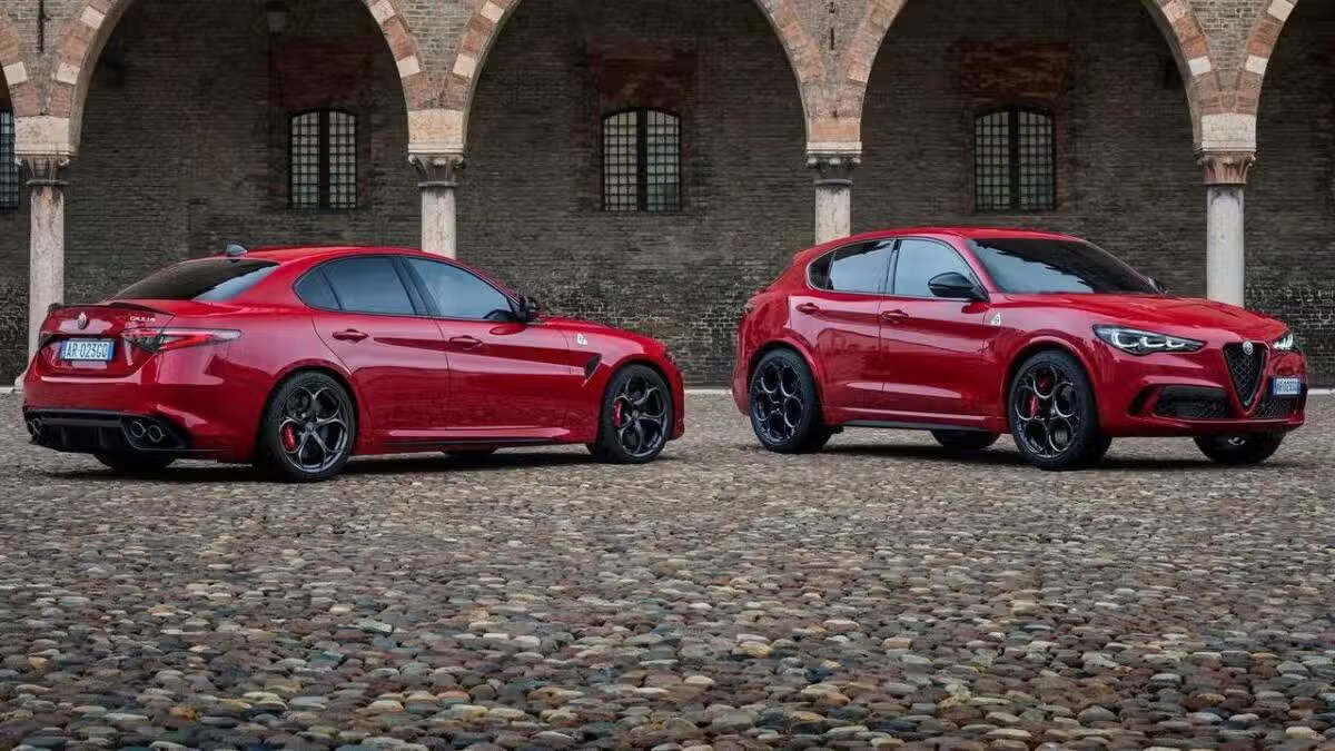 alfa-1.png
