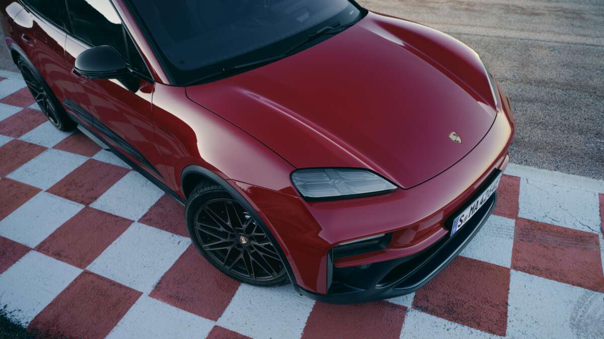 macan-.jpg