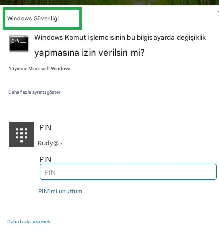 Windows 11 9