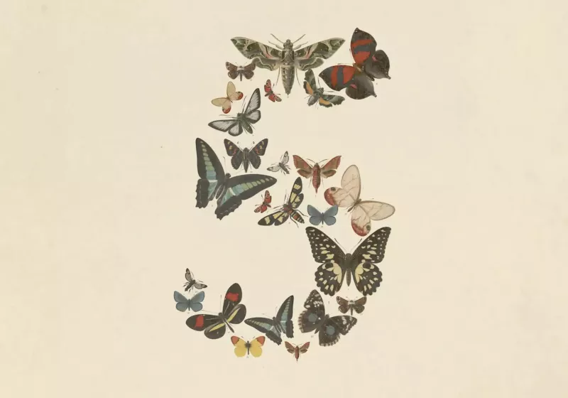 Anthropic-Fable-5-kapandi-daha-siki-onlemler.jpg